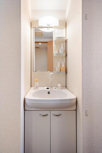 a bathroom with a white sink and a mirror at ライズ201 in Kasugai