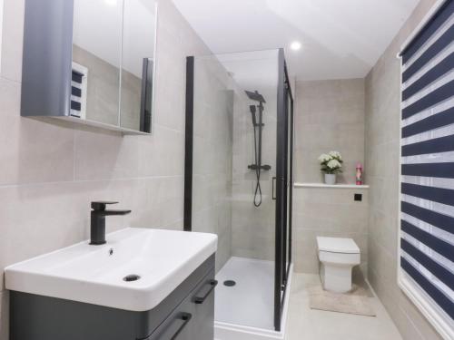 a bathroom with a sink and a shower and a toilet at Chandlers Cottage in Conwy