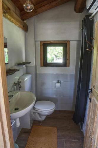 a bathroom with a toilet and a sink and a window at Stones and Pines in Rimella