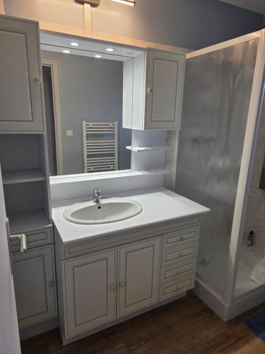 a bathroom with a sink and a mirror at Domaine du Riadoux in Bonneuil