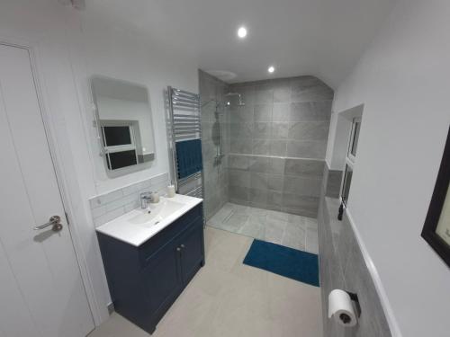 a bathroom with a sink and a shower at Annies Farm Cottage in Derry Londonderry