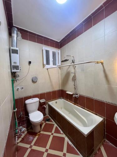 a bathroom with a toilet and a bath tub at Dahabiya Apartment in Luxor