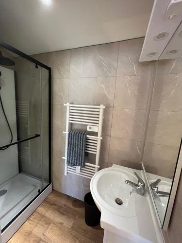 a bathroom with a sink and a shower at Signature Apartment in Pélussin