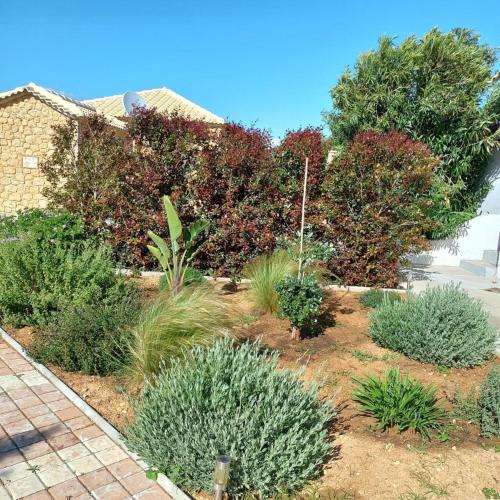 a garden with plants in front of a house at Villa Penelia next to golf courses in Romanu
