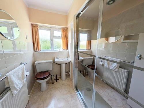 a bathroom with a shower and a toilet and a sink at Roslyn in Romsey