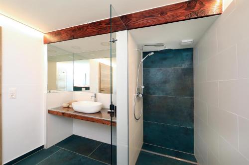 a bathroom with a glass shower and a sink at Kellerstöckl Pachler in Bad Gleichenberg