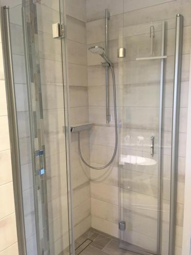 a shower with a glass door and a sink at Lakehouse in Brodowin in Chorin