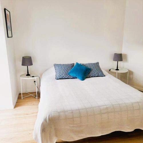 a bedroom with a bed with blue pillows on it at L'Etalon, maison dans corps de ferme in Chailly-sur-Armançon