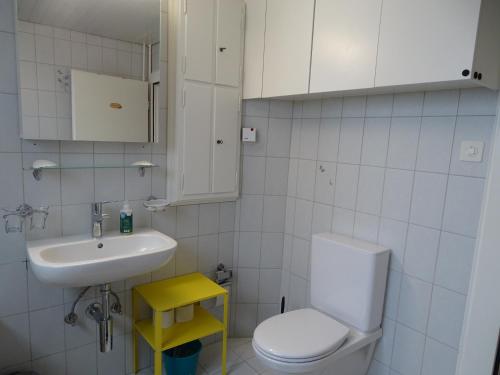 a white bathroom with a sink and a toilet at Bio Bed & Breakfast Froschkönig in Gersau