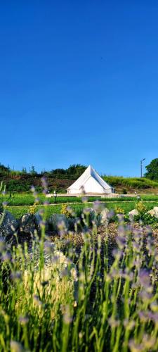 a field of flowers with a white building in the background at ILLU Glamping in Trebujeni