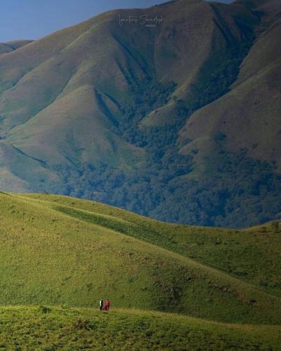 Gallery image of Darimane Homestay in Kalasa