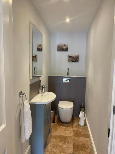 a bathroom with a white sink and a toilet at Cumberwell Cottages-Dash Corner in South Wraxall