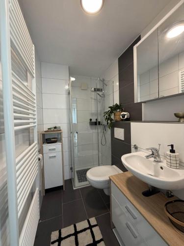 a bathroom with a sink and a toilet and a shower at Moor and More Loft in Monschau