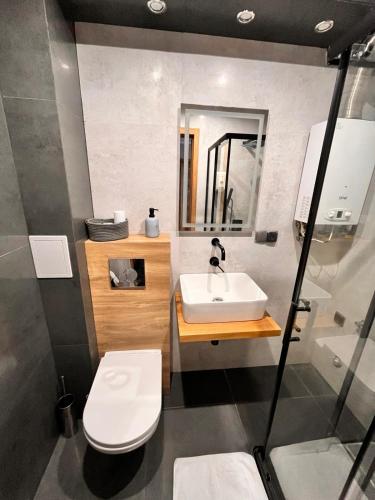 a bathroom with a sink and a toilet at Apartament Central Wałcz Residence in Wałcz