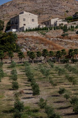 a field of trees in front of a building at Masseria Agnello in Realmonte