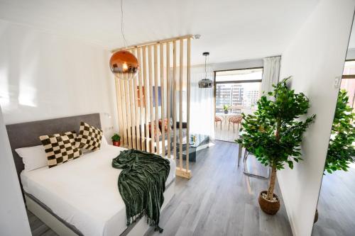 Palmeras Cristal by 10ToSea