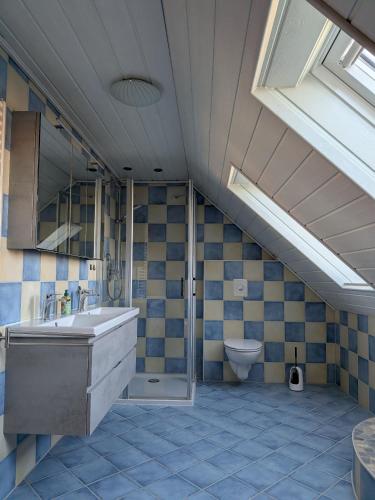 a bathroom with a sink and a toilet at Ferienwohnung In Bestform in Merkendorf