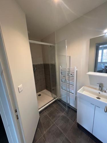 a bathroom with a shower and a sink at Maisonnette Montferrandaise proche Tram - 6 couchages - tram - wifi in Clermont-Ferrand