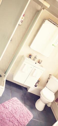 a bathroom with a white toilet and a pink rug at Chez Ninon in Freyming