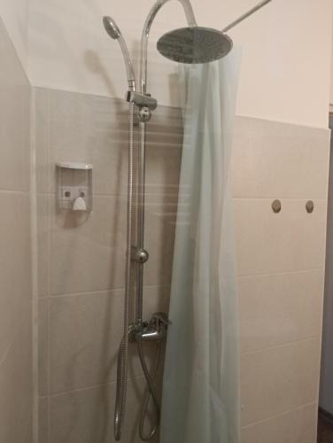 a shower with a shower curtain in a bathroom at Central garsoniera ap 3 in Târgu-Mureş