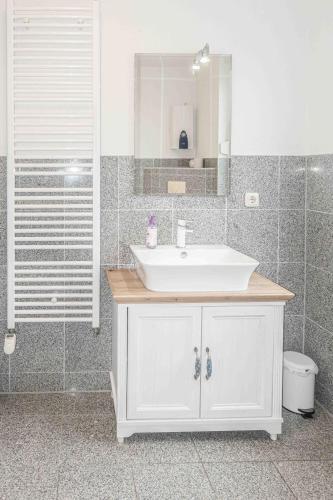 a bathroom with a white sink and a shower at Ferienhaus Kranich in Pruchten