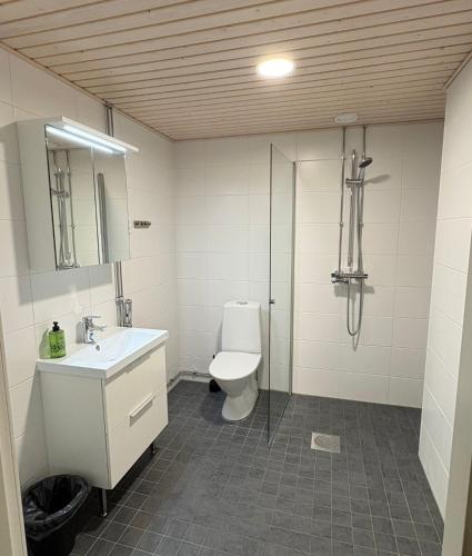 a bathroom with a toilet and a sink and a shower at LuxHOMES Studio in Tapiola in Espoo
