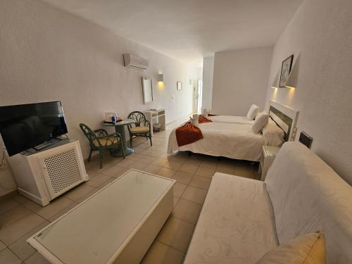 a hotel room with a bed and a tv at Hotel Puntazo II in Mojácar