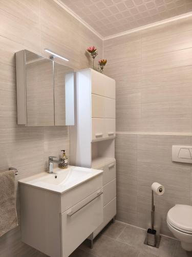 a bathroom with a white sink and a toilet at Marina in Bleckede