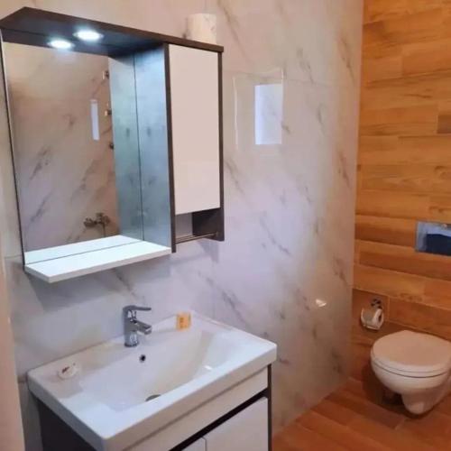a bathroom with a sink and a toilet at Villa Goliku in Peshtan