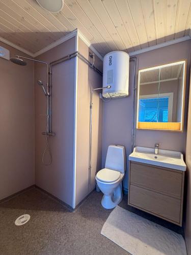 a small bathroom with a toilet and a sink at Secluded Lakehouse in Falun