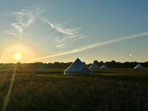 a group of tents in a field at sunset at Forest Edge Glamping in Gittisham