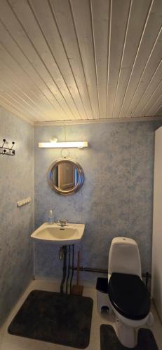 a bathroom with a sink and a toilet and a mirror at Røisheim in Tyinkrysset