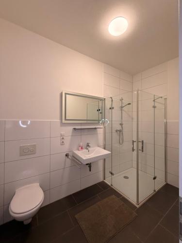 a bathroom with a toilet and a sink and a shower at Westwind 2 in Steinfeld