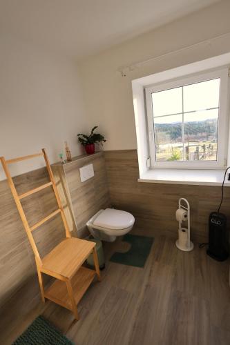 a bathroom with a toilet and a chair and a window at Bio-Bauernhof, Pferdehof Gräser in Viehberg