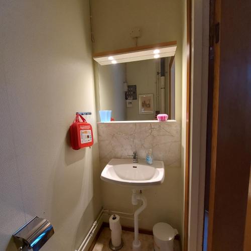 a small bathroom with a sink and a mirror at Vindslägenhet på Bjäre in Båstad