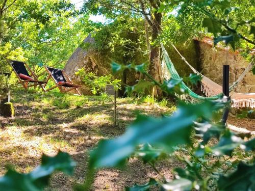 a couple of hammocks in a yard with trees at Casa do Penedo in Castro Laboreiro