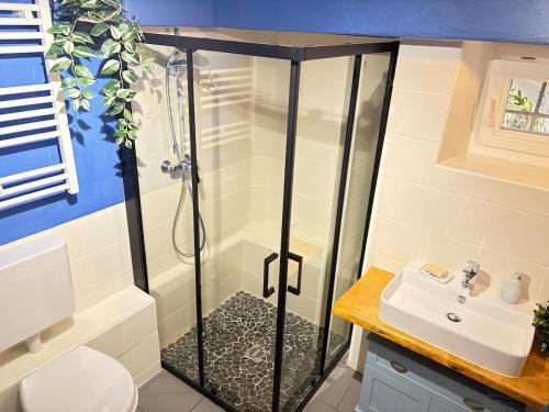 a bathroom with a shower and a sink at Katzenbachlädle in Rottenburg