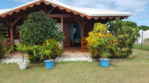 Gîte Les Palmistes – Photos 5