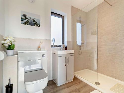 a bathroom with a toilet and a sink and a shower at 2 Bed in Colchester oc-95941 in East Bergholt
