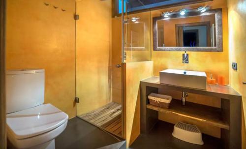 een badkamer met een toilet, een douche en een wastafel bij CasaCampelles II - Vall de Núria - Ripollès in Campelles