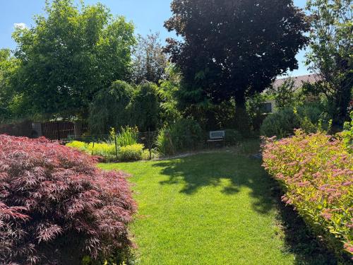 Jardí fora de Vila Berlin