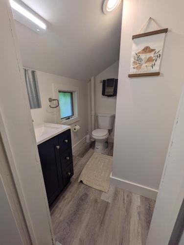 a bathroom with a sink and a toilet at Apartment 1 in Rockingham