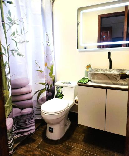 a bathroom with a toilet and a sink and a mirror at Suite relax entre naturaleza y piscina en Tulipe in El Porvenir
