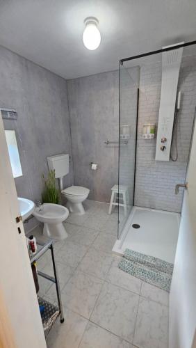 a bathroom with a shower and a toilet and a sink at Quinta Cabecinha in Penela