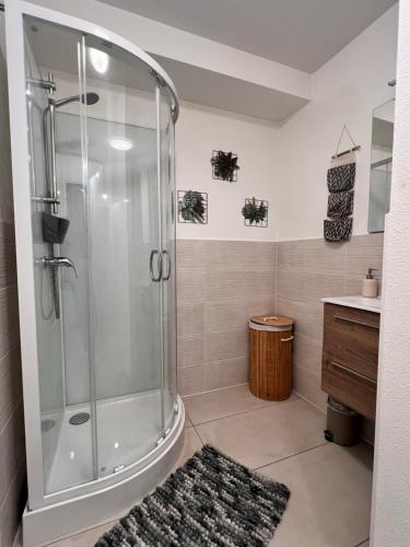 a bathroom with a shower and a sink at Le bohème Chauraisien in Chauray