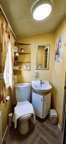 a bathroom with a toilet and a sink at Caravan in Clacton-on-Sea in Little Clacton