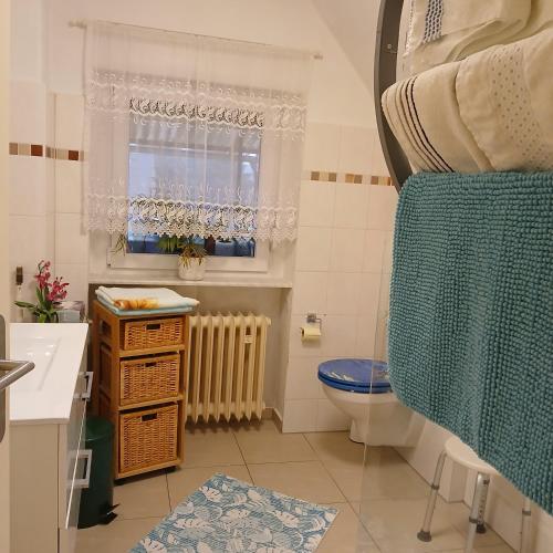 a bathroom with a toilet and a window and a sink at Maja in Guhrow
