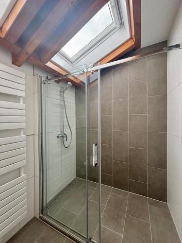 a glass shower in a bathroom with a skylight at D&D Guesthouse in Angelbachtal