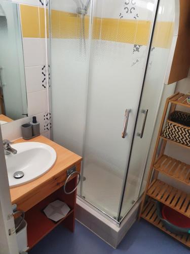 a bathroom with a shower and a sink at Appartement avec balcon et vue sur les montagnes in Bielle