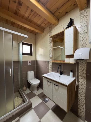 a bathroom with a toilet and a sink and a shower at Zaovinski Raj2 Tara in Konjska Reka